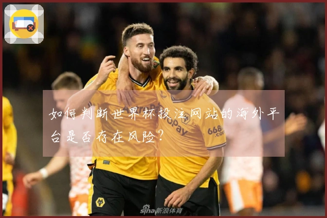 如何判断世界杯投注网站的海外平台是否存在风险？