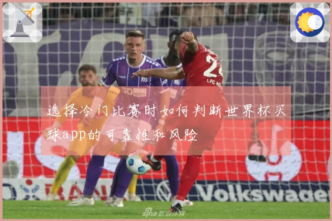 选择冷门比赛时如何判断世界杯买球app的可靠性和风险