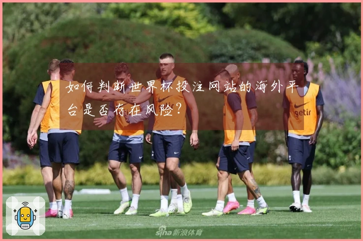 如何判断世界杯投注网站的海外平台是否存在风险？