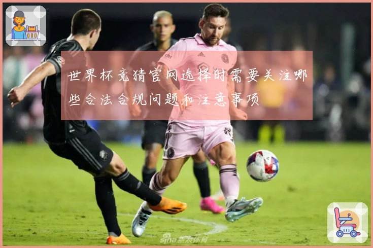 世界杯竞猜官网选择时需要关注哪些合法合规问题和注意事项